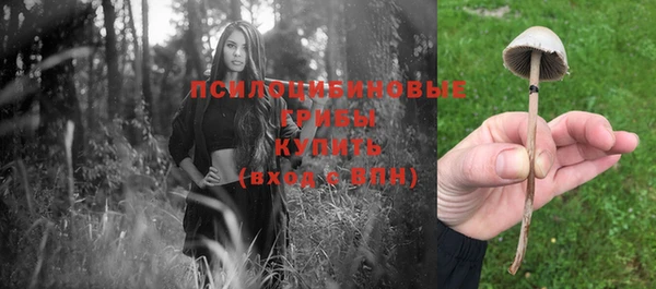 прущие грибы Сатка