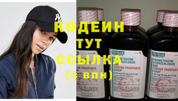 прущие грибы Сафоново