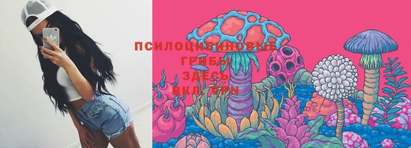Альфа ПВП Аркадак