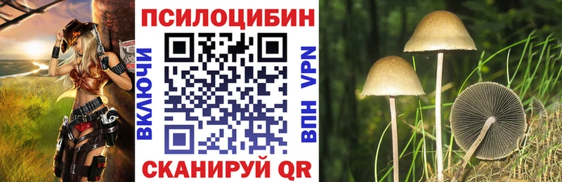 Купить где Буйнакск Псилоцибиновые грибы Psilocybine cubensis